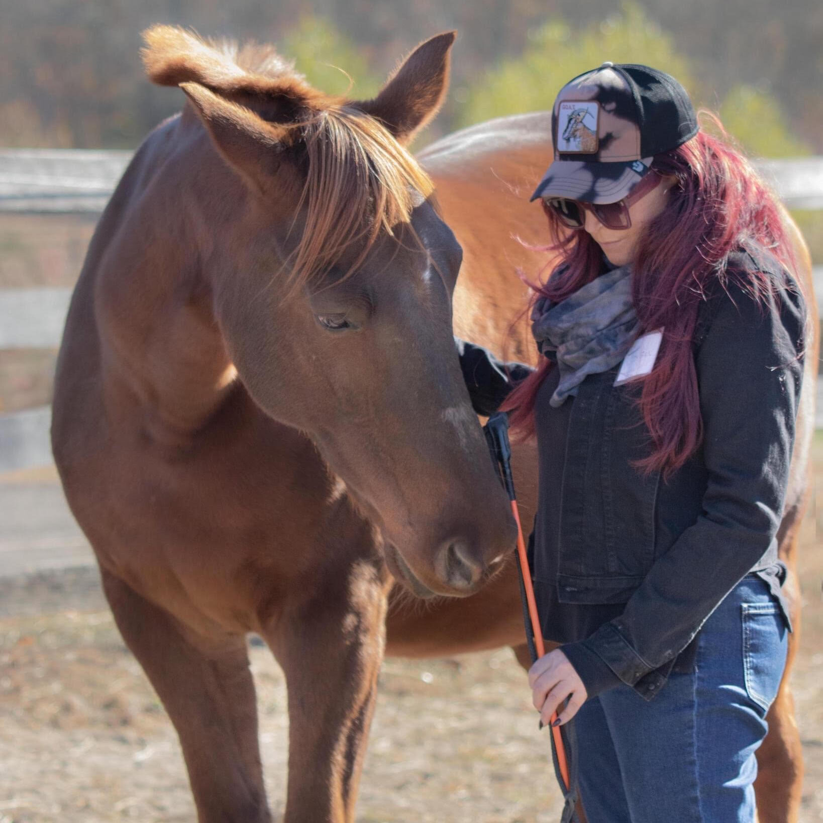 a horse standing next to a woman