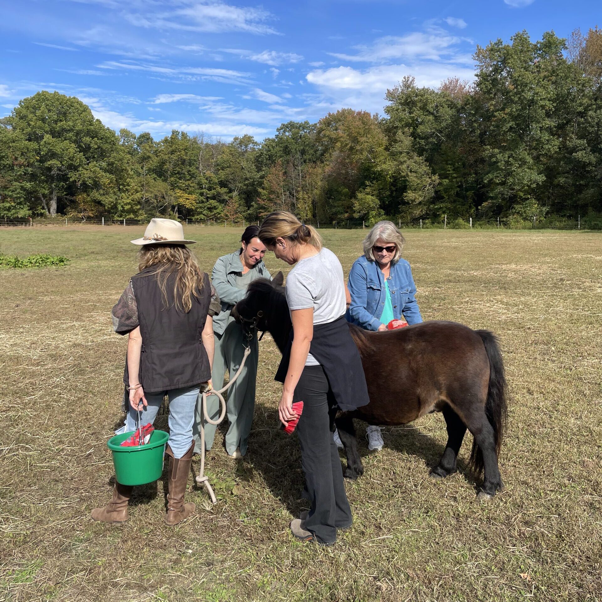 a group of women grooming horses