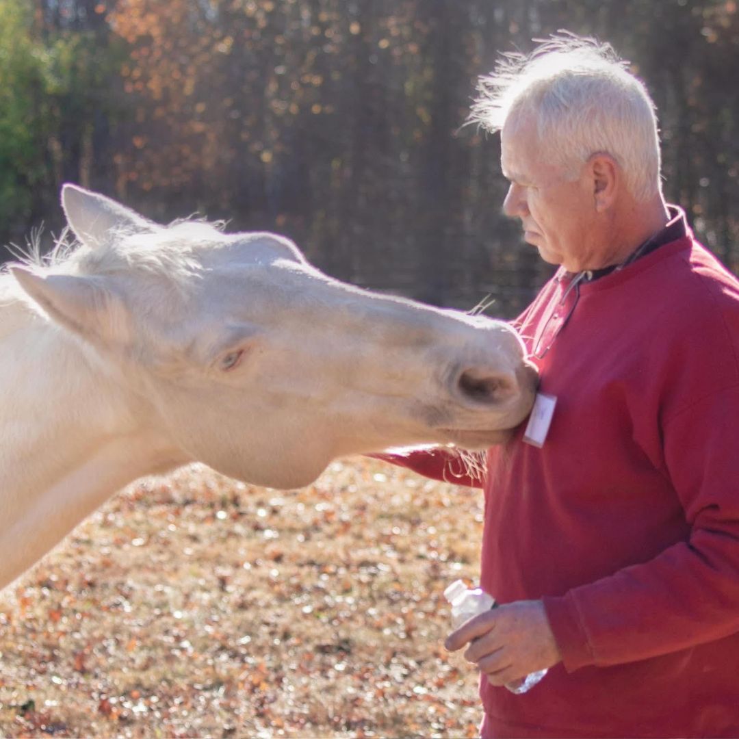 a horse is nibbling a man's shirt