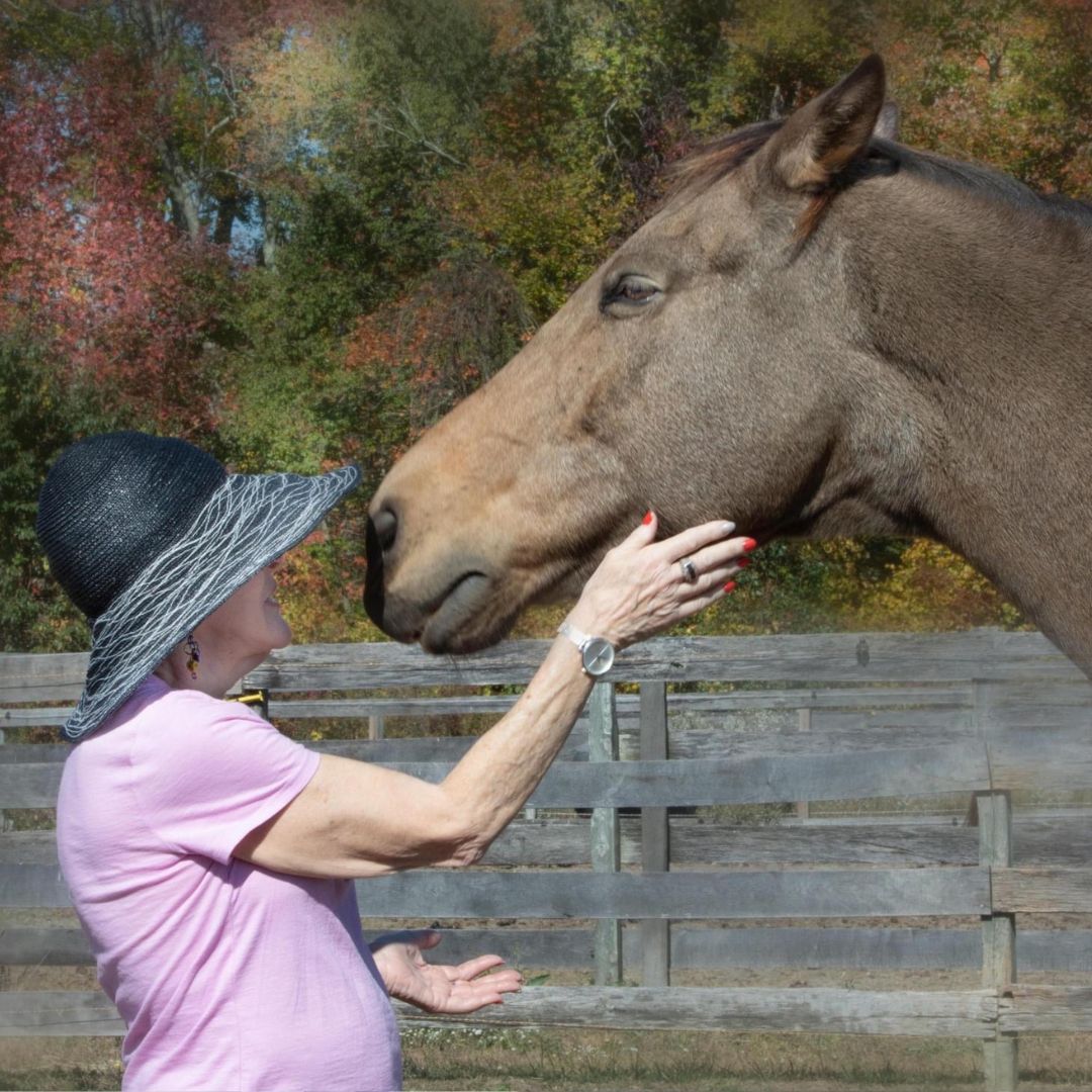 a woman touching a horse's face