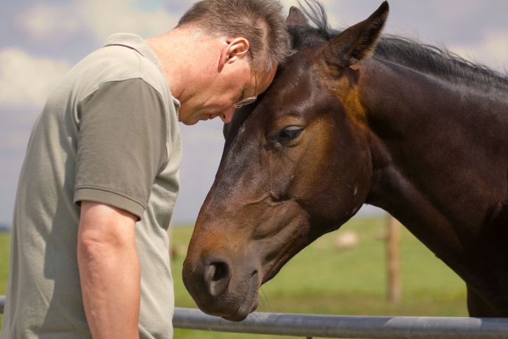 a man putting his head on a horse's head
