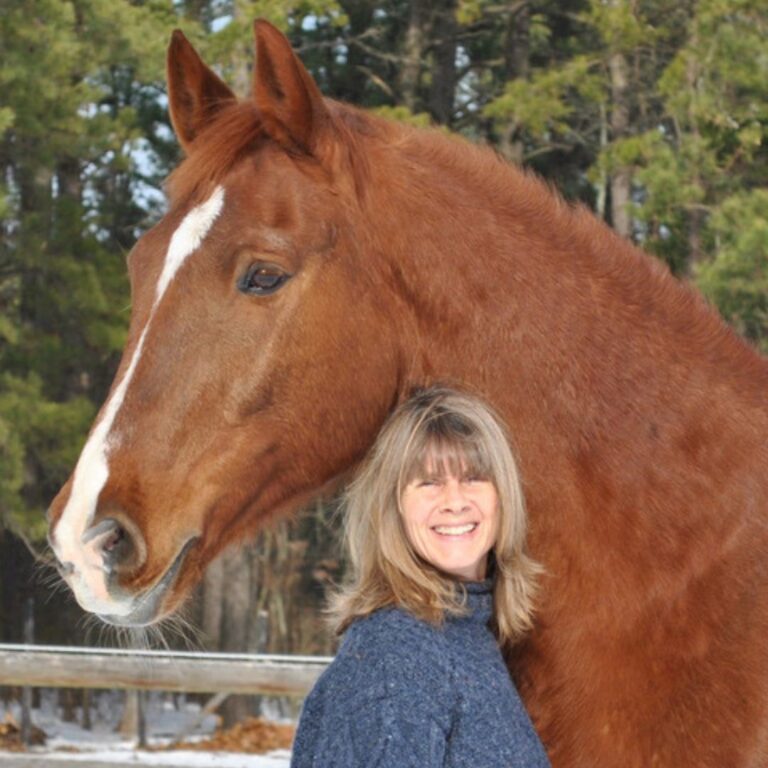 Ginger and horse