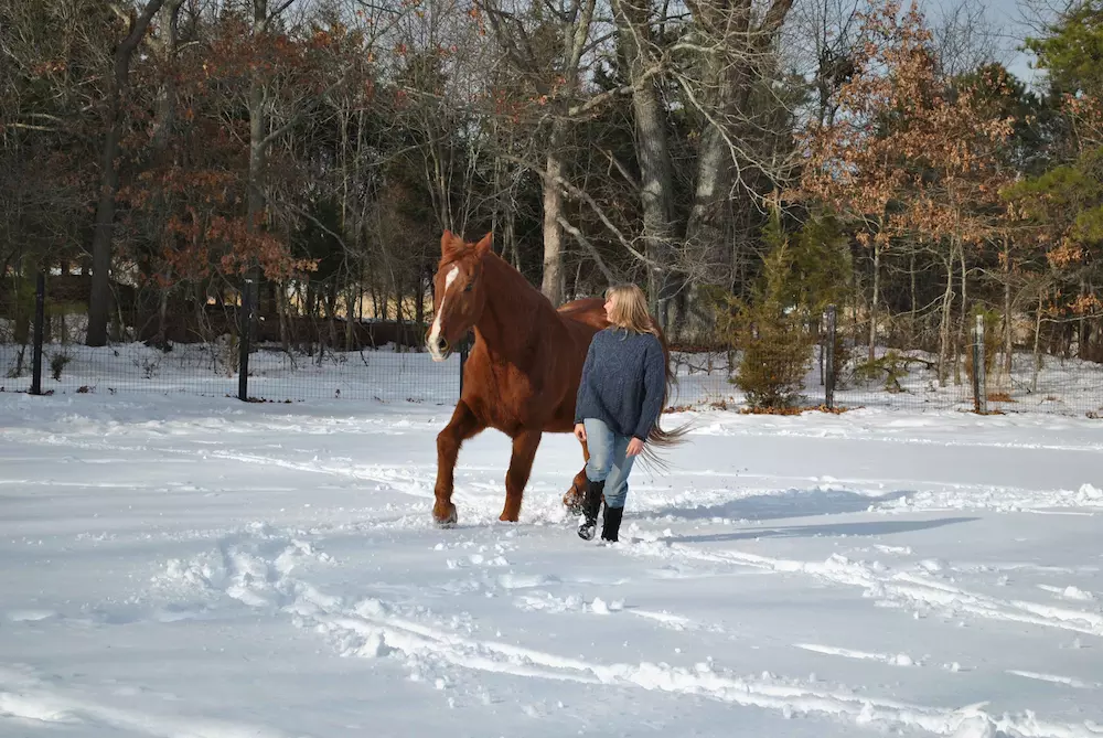 A woman and horse in snow
