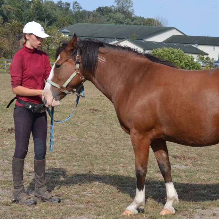 A woman standing in front of a horse